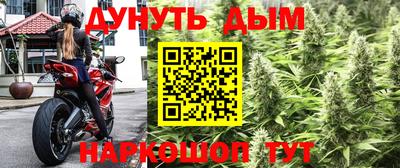 спайс Аргун