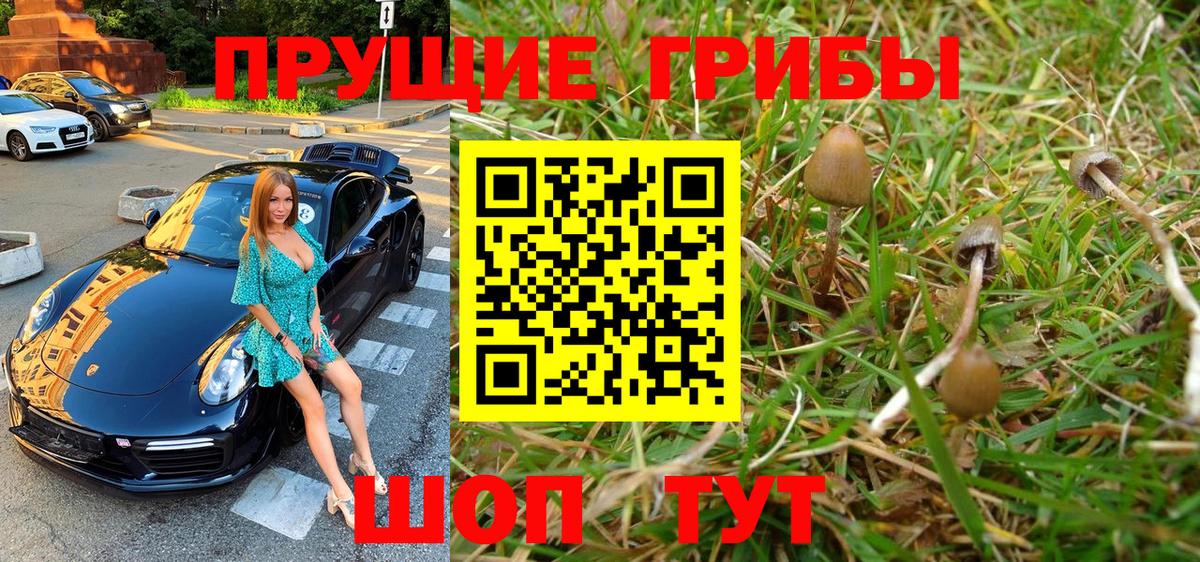 Галлюциногенные грибы Cubensis  Вход с VPN  Вольск 