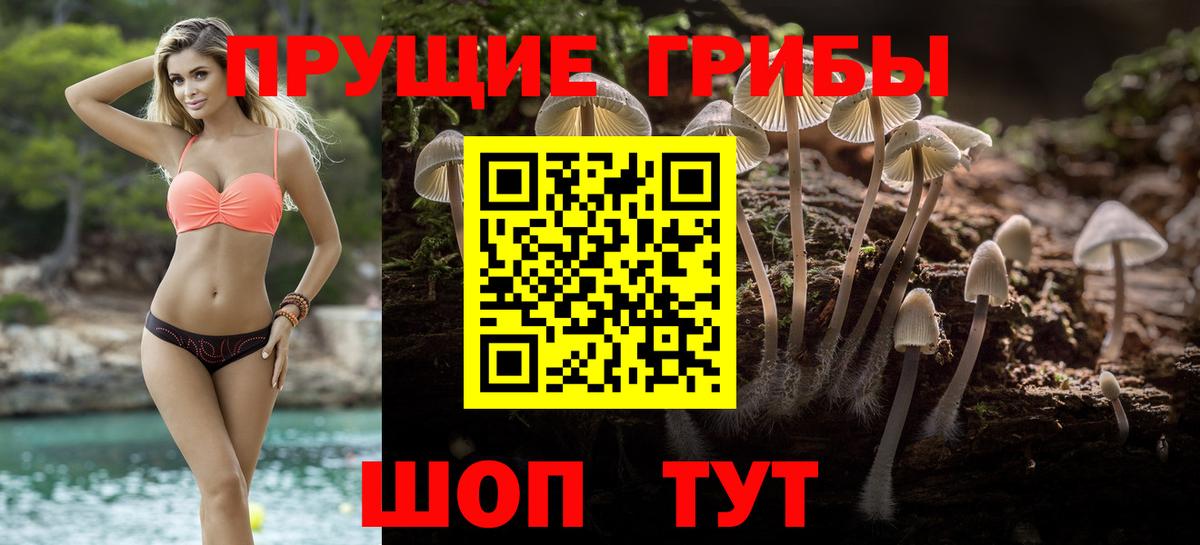Псилоцибиновые грибы ЛСД Вольск